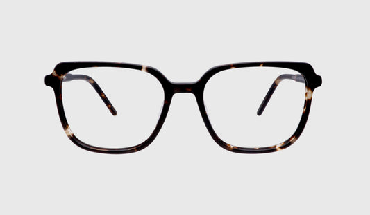 K_-KPL050059 C3-51-19-140-BROWN