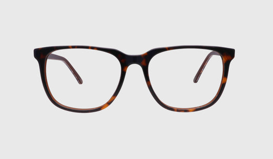 K_-KPL050061 C1-51-18-140-BROWN