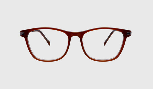 K_-KPL050075 C3-49-17-146-BROWN