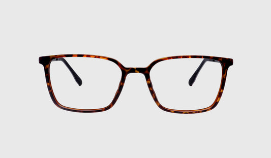 K_-KPL050082 C2-51-17-135-BROWN